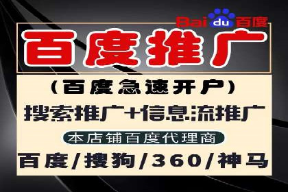 百度推广排名提升方案：某科技公司的成功经验